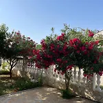 Nada Near The Sandy - By Ta Leut Agency * Privlaka (Zadar)