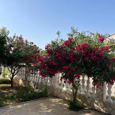 Nada Near The Sandy - By Ta Leut Agency * Privlaka (Zadar)